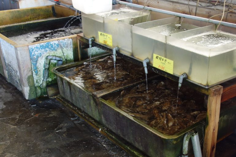 牡蠣の生簀（店内）