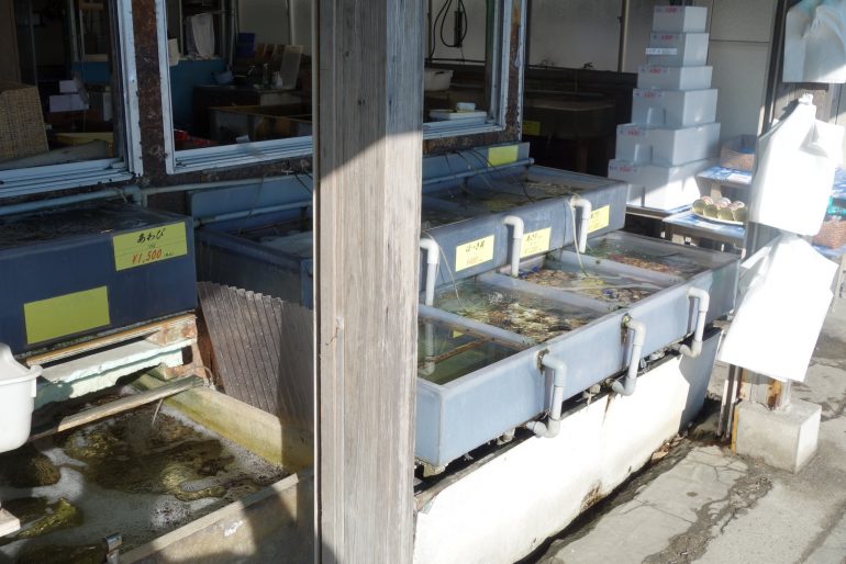 店頭の生簀