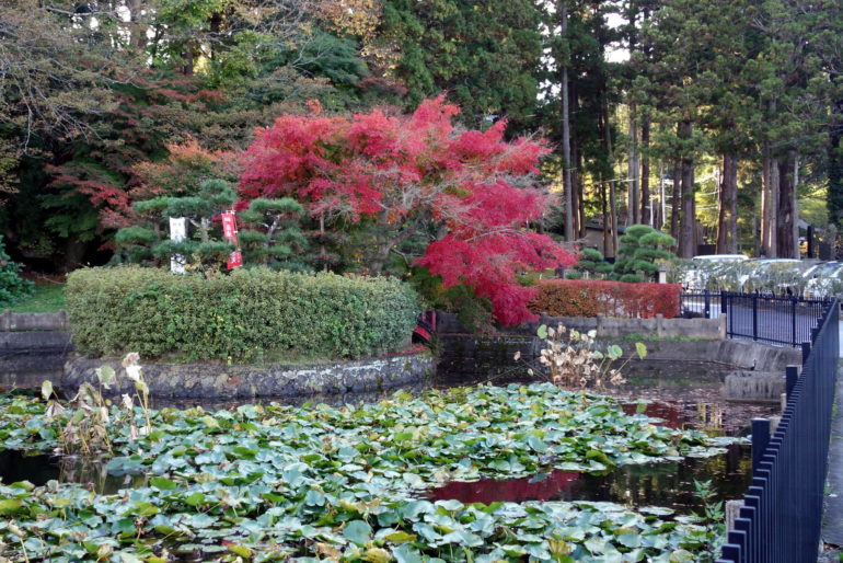 瑞巌寺放生池（蓮池）の紅葉