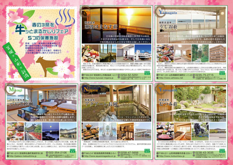 パンフレット中面