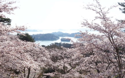 西行戻しの松公園から見た松島