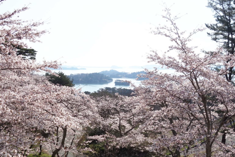 松島(西行戻しの松公園)