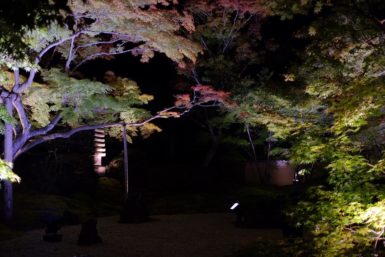 2018年 松島紅葉ライトアップ