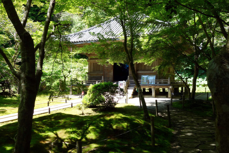 木漏れ日のなかの三慧殿 木漏れ日のなかの三慧殿