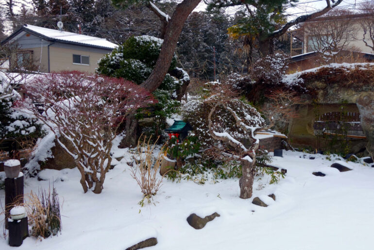 カフェ・アルバートの日本庭園