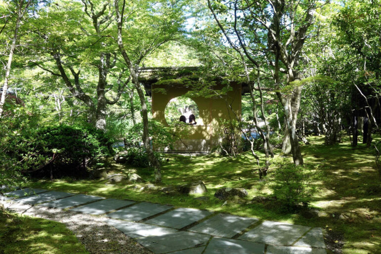 木漏れ日の庭