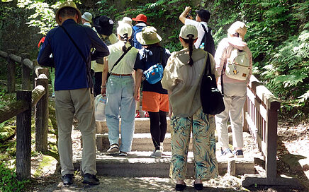 ごしゅらんウォーキングツアー