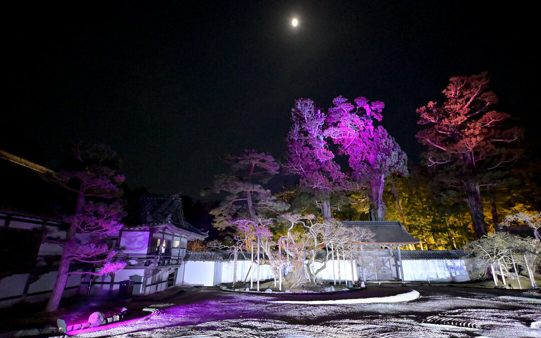 瑞巌寺 秋の夜間参拝（2024年）