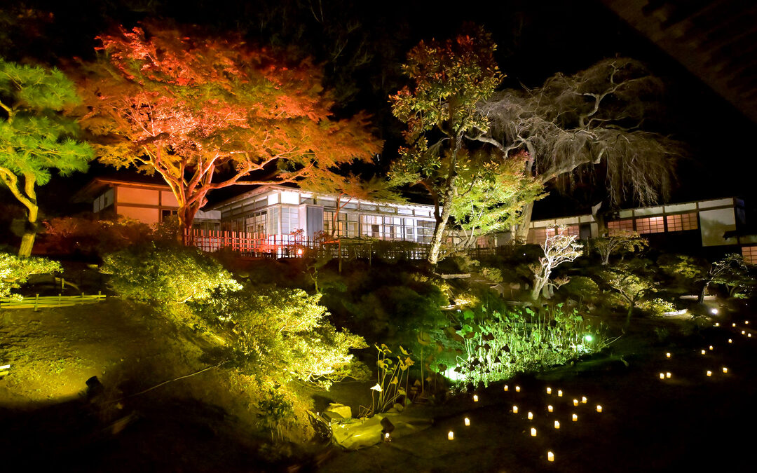瑞巌寺 秋の夜間参拝（2024年）