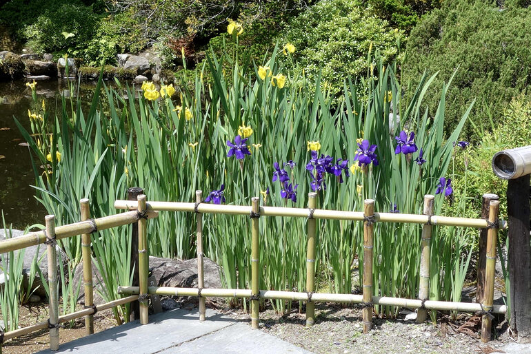 円通院の庭園(2026年5月17日)